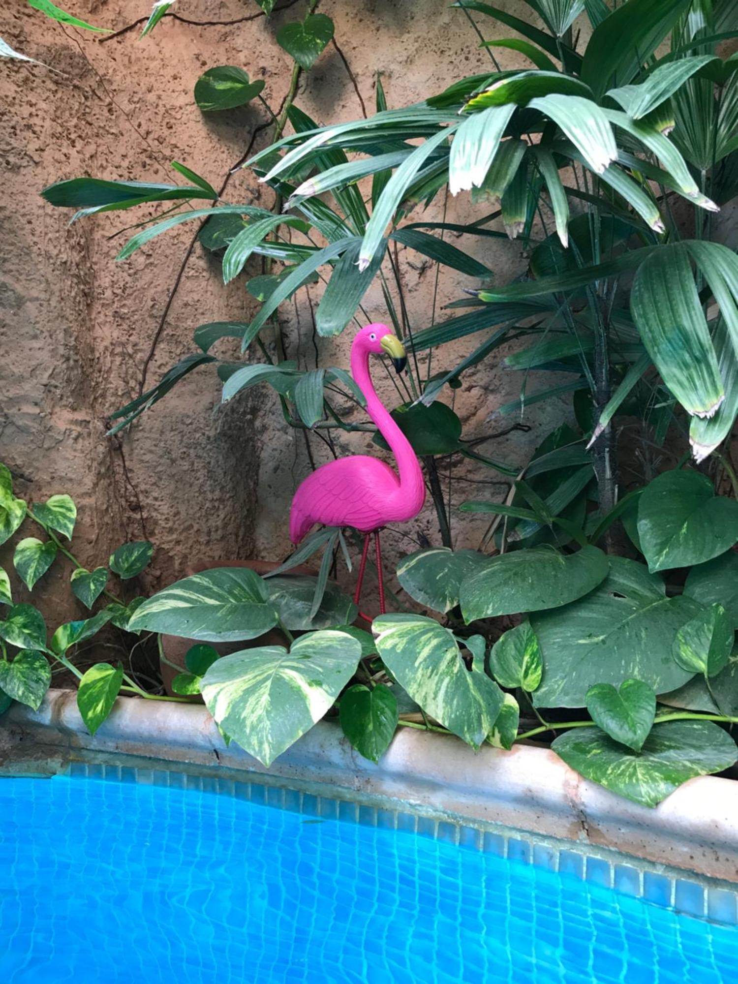 Apartmán Tropical Oasis Ouakam Exteriér fotografie