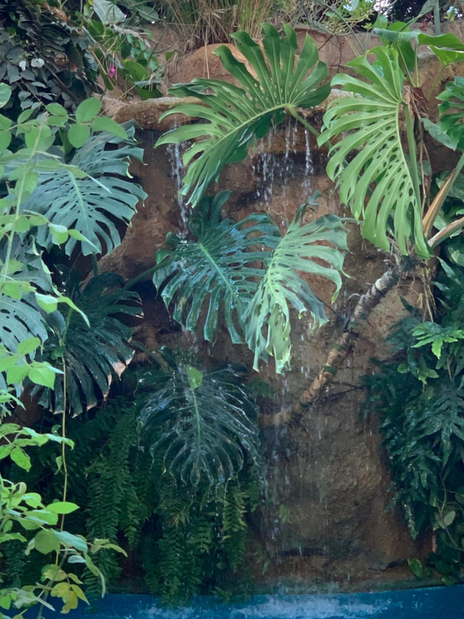 Apartmán Tropical Oasis Ouakam Exteriér fotografie