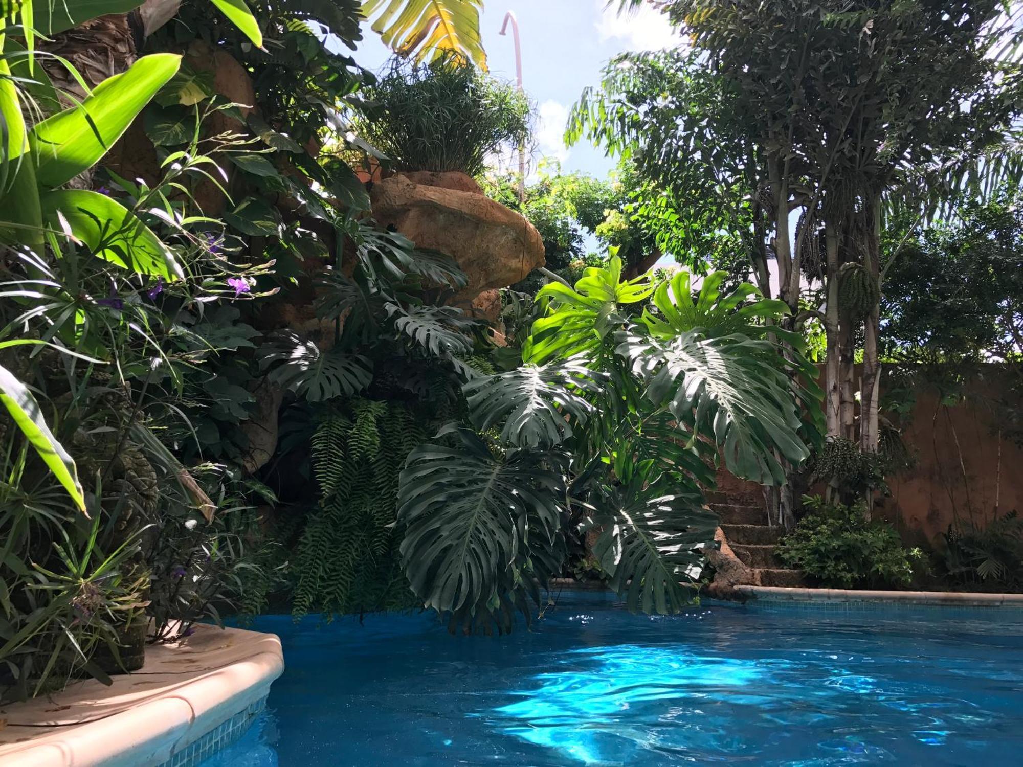 Apartmán Tropical Oasis Ouakam Exteriér fotografie