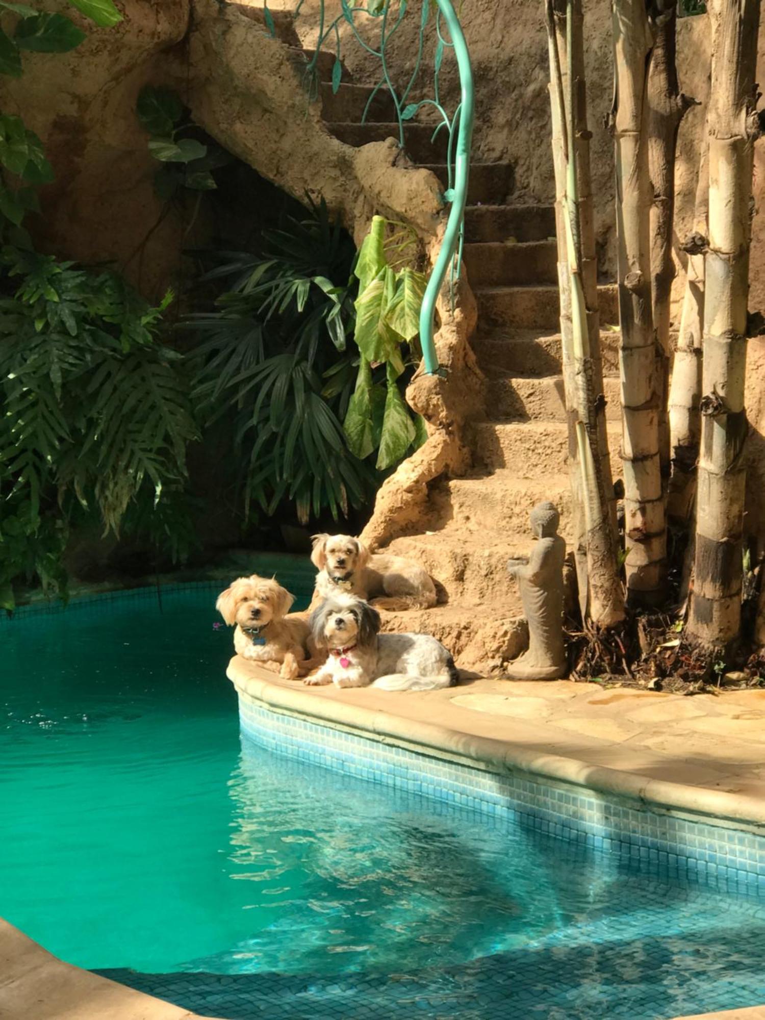 Apartmán Tropical Oasis Ouakam Exteriér fotografie